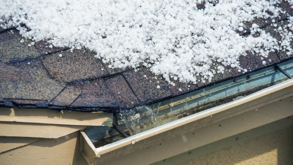 Ice and Water Shield Roof_ Where Leak Barriers Belong image 2