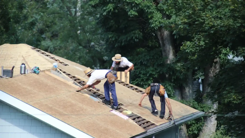 DIY Roof Maintenance ̶ What Homeowners Can and Can’t Do image 2