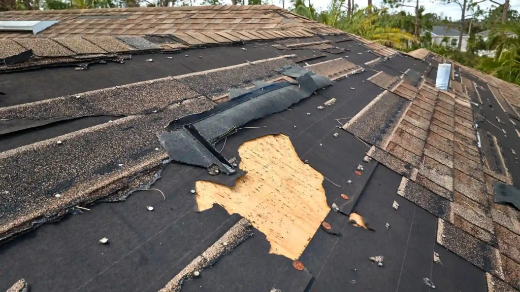 Hurricane Roof Preparation: A Complete Guide for Arden, NC Homeowners