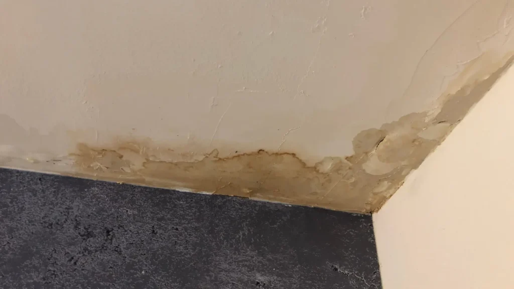 Emergency Roof Leak Repair in Hickory, NC: What to Do Before Help Arrives