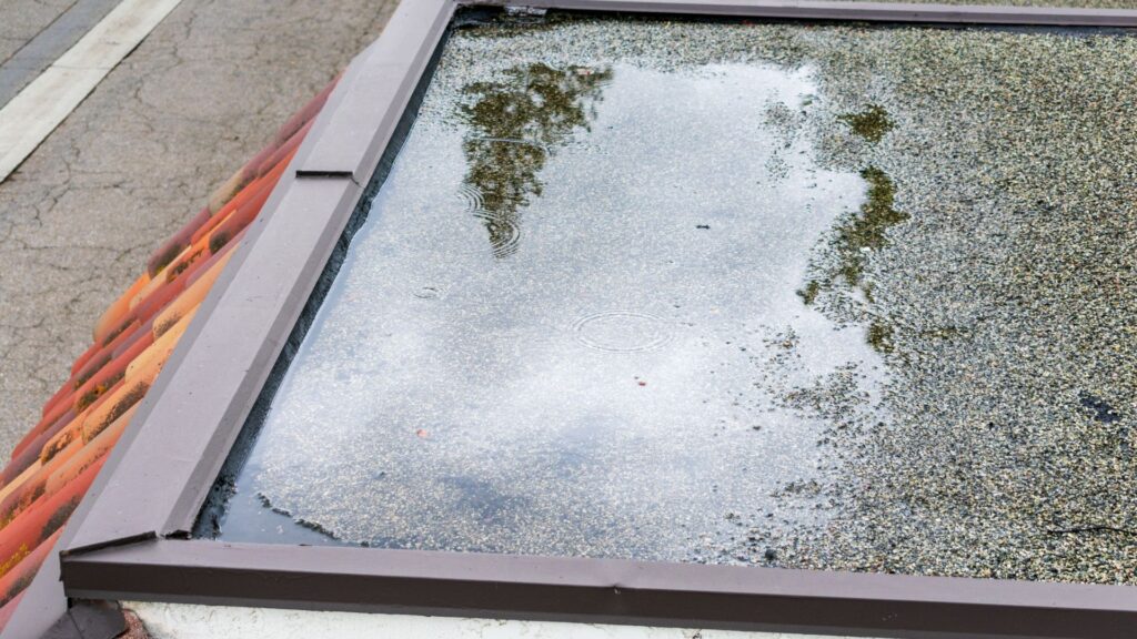 Flat Roof Ponding Water: Causes and Repairs for Arden Homes